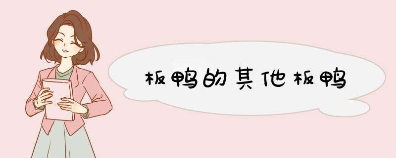 板鸭的其他板鸭,第1张