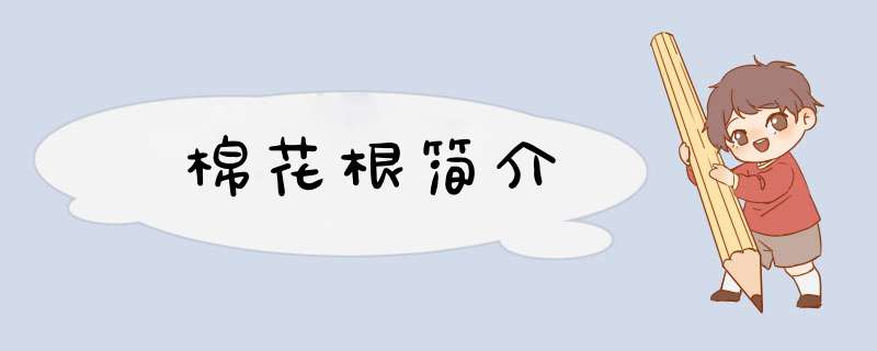 棉花根简介,第1张