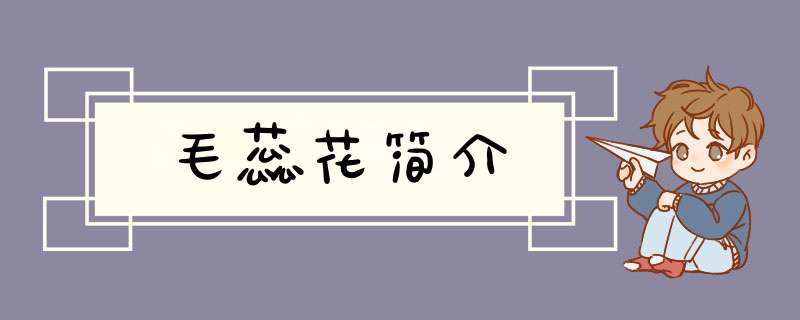 毛蕊花简介,第1张