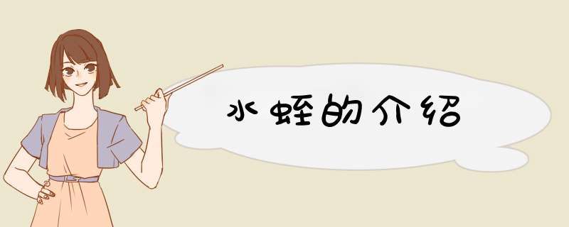 水蛭的介绍,第1张