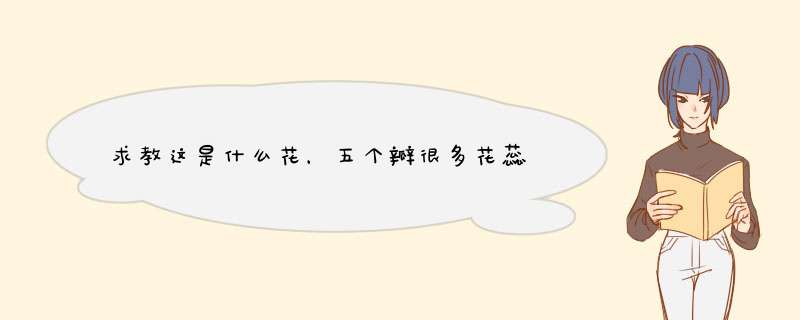 求教这是什么花，五个瓣很多花蕊,第1张