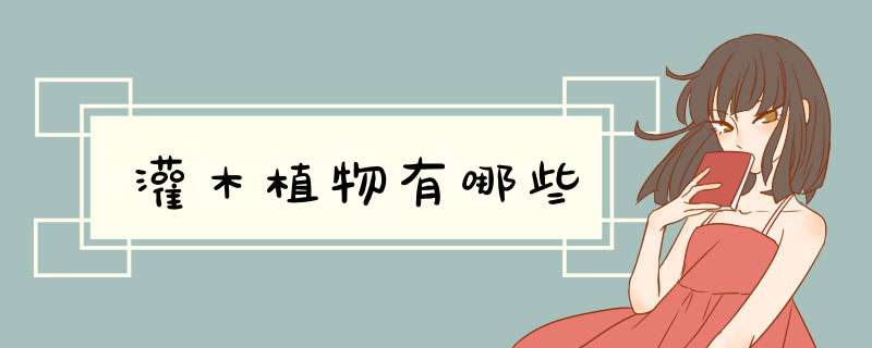 灌木植物有哪些,第1张