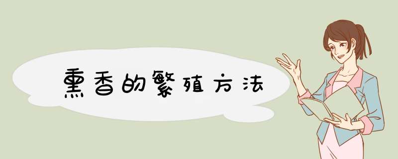 熏香的繁殖方法,第1张