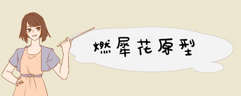 燃犀花原型,第1张