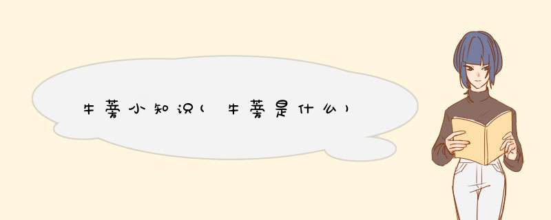 牛蒡小知识(牛蒡是什么),第1张