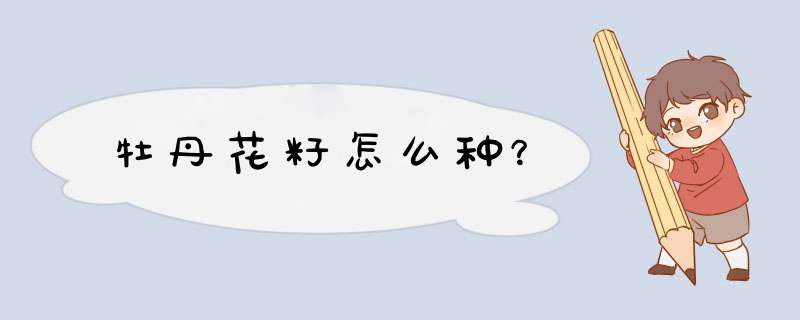 牡丹花籽怎么种？,第1张