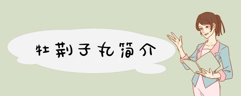牡荆子丸简介,第1张