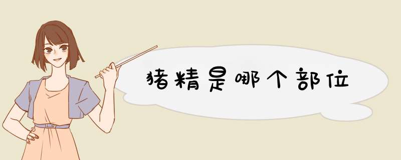 猪精是哪个部位,第1张