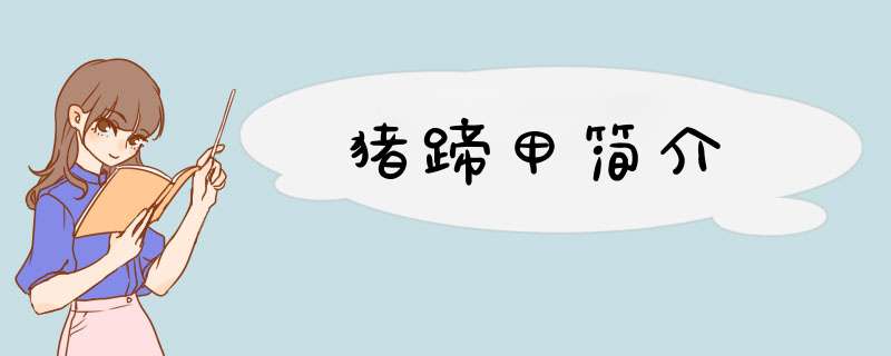 猪蹄甲简介,第1张