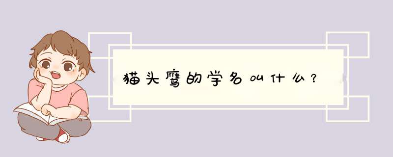 猫头鹰的学名叫什么？,第1张