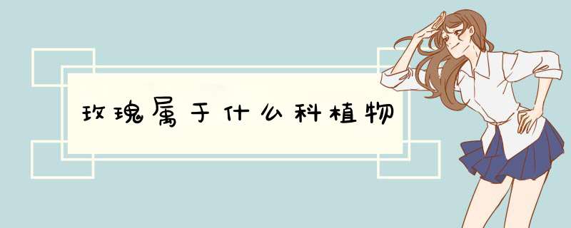 玫瑰属于什么科植物,第1张