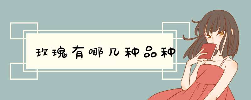 玫瑰有哪几种品种