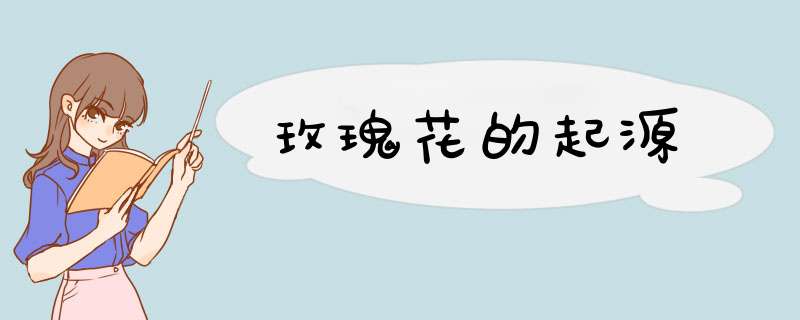 玫瑰花的起源,第1张