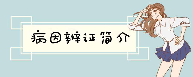 病因辨证简介
