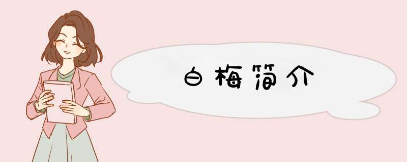 白梅简介,第1张