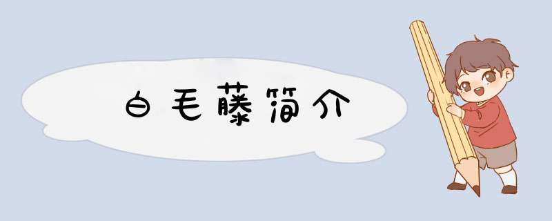 白毛藤简介,第1张