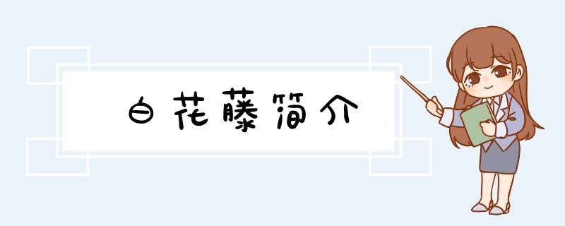 白花藤简介,第1张