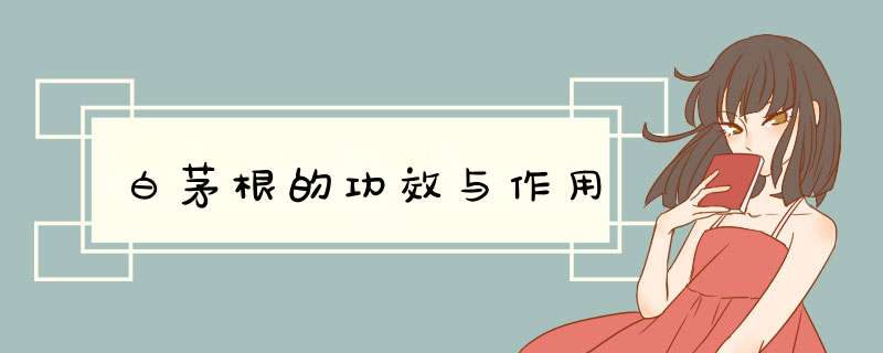 白茅根的功效与作用,第1张