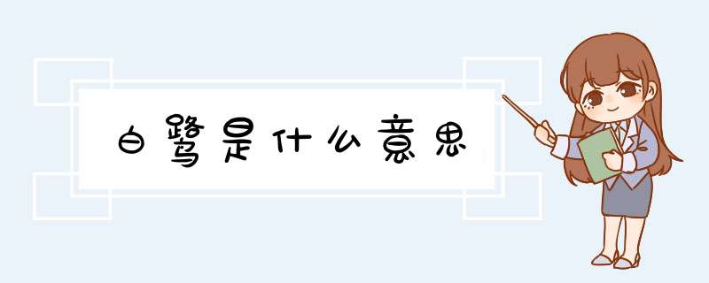 白鹭是什么意思
