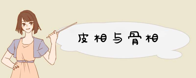 皮相与骨相,第1张