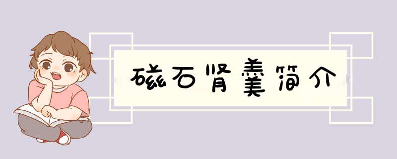 磁石肾羹简介