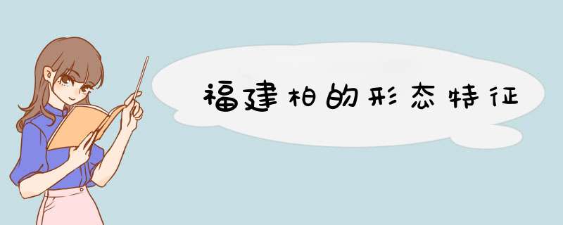 福建柏的形态特征,第1张