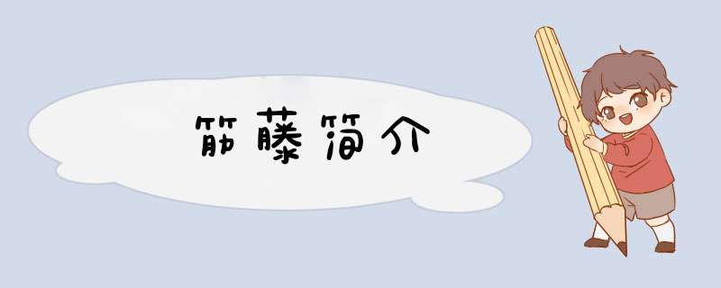 筋藤简介,第1张