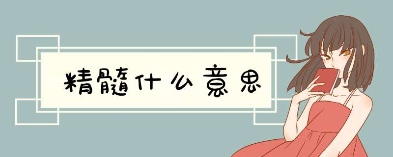 精髓什么意思,第1张