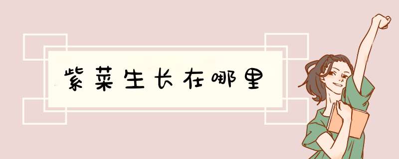 紫菜生长在哪里,第1张