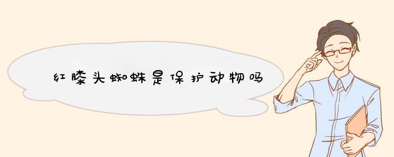 红膝头蜘蛛是保护动物吗