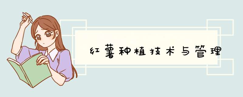 红薯种植技术与管理