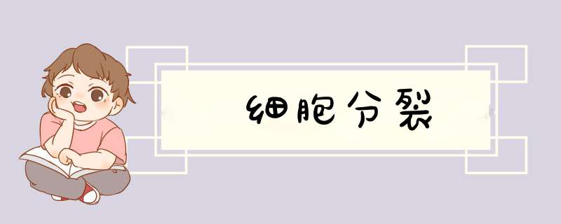 细胞分裂,第1张