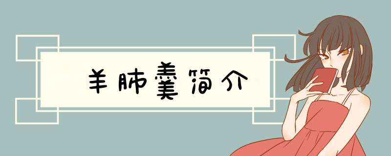 羊肺羹简介,第1张