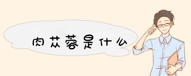 肉苁蓉是什么,第1张