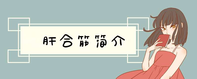 肝合筋简介,第1张