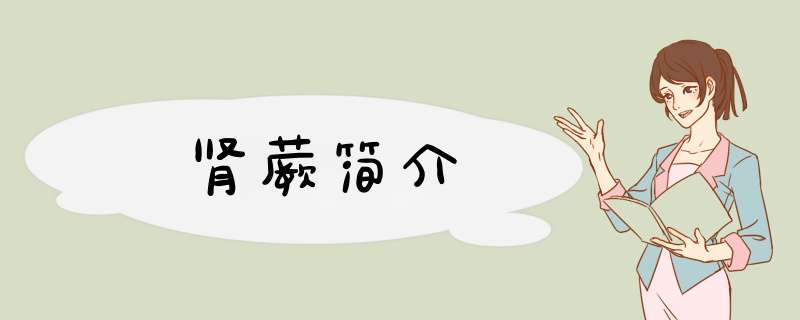 肾蕨简介,第1张