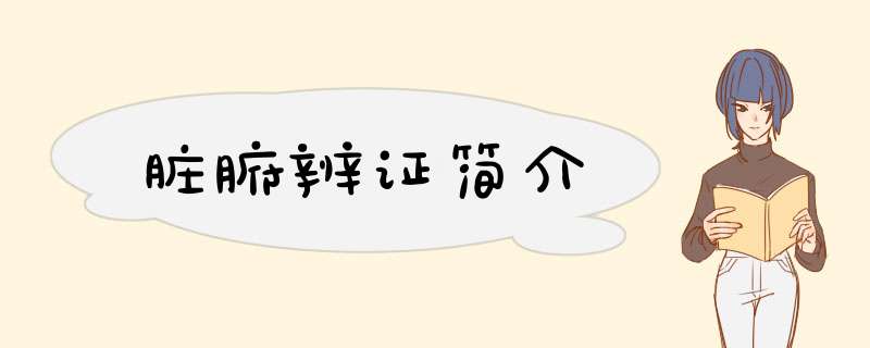 脏腑辨证简介