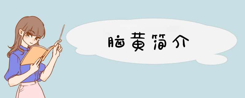 脑黄简介
