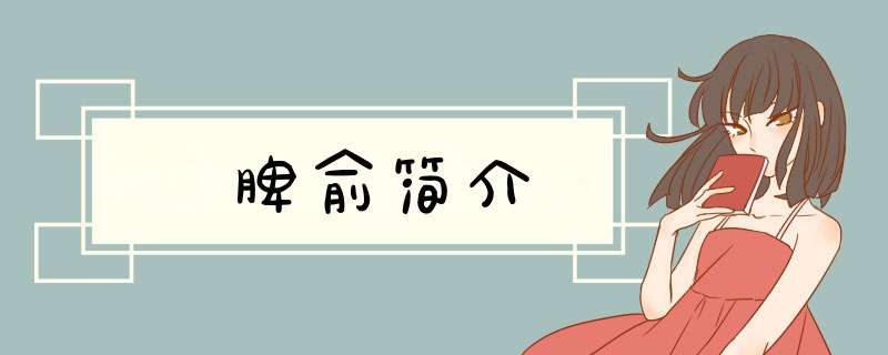 脾俞简介,第1张