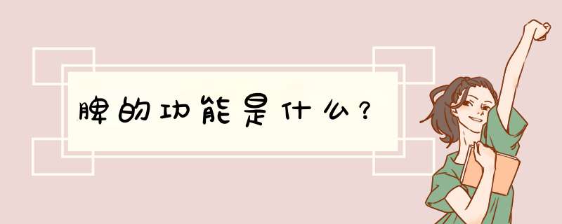 脾的功能是什么？,第1张