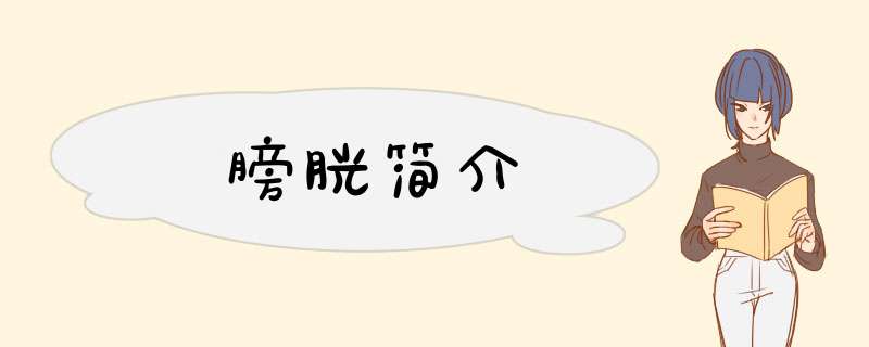 膀胱简介,第1张