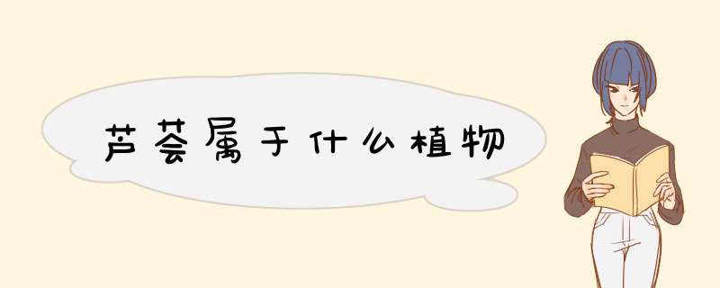 芦荟属于什么植物,第1张