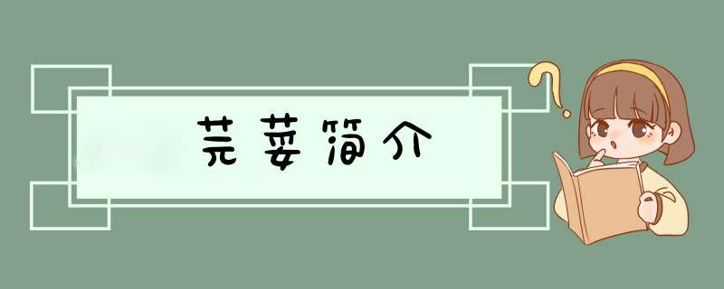 芫荽简介,第1张