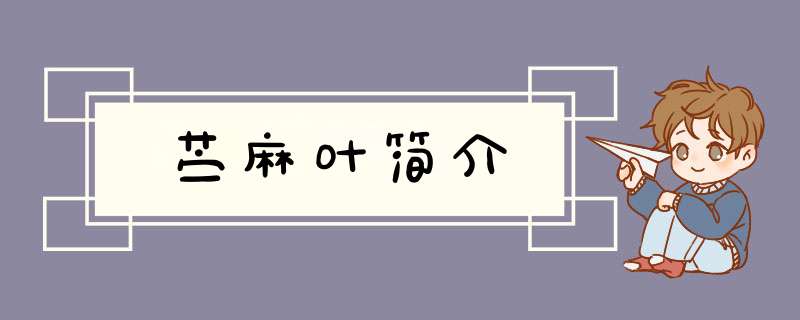 苎麻叶简介,第1张