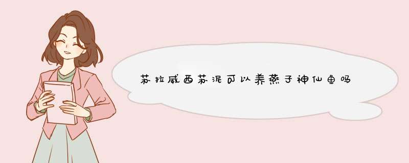 苏拉威西苏泥可以养燕子神仙鱼吗,第1张