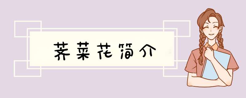 荠菜花简介,第1张