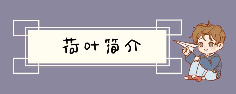 荷叶简介
