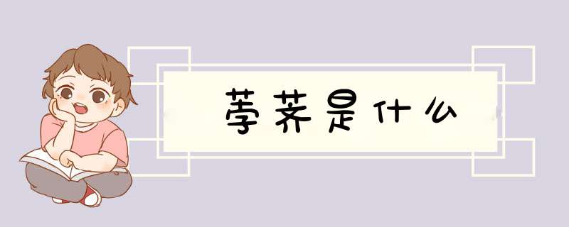 荸荠是什么,第1张