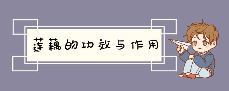 莲藕的功效与作用,第1张