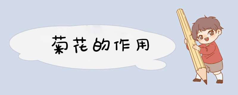 菊花的作用